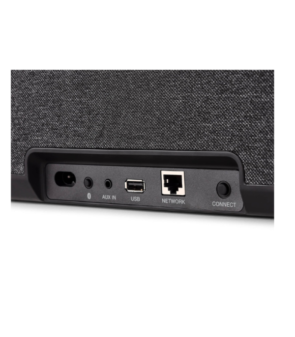Denon Home 250