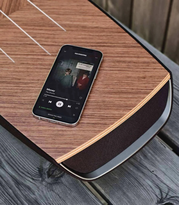 Omnia wireless speaker