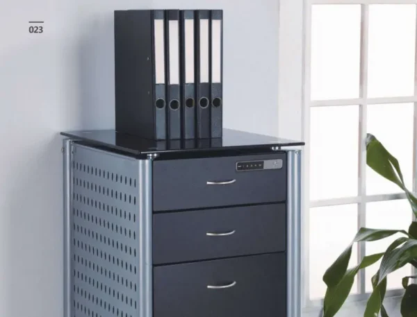 PL02 Password Based Cabinet/Drawer (Horizontal)